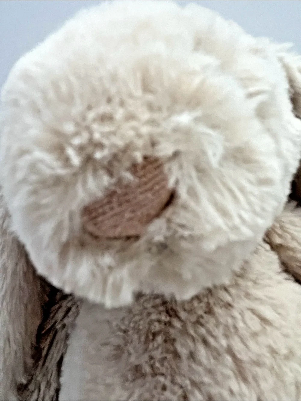 Jellycat London Bashful Bunny Plush Beige Rabbit 11” Medium Soft Toy Gold Tag